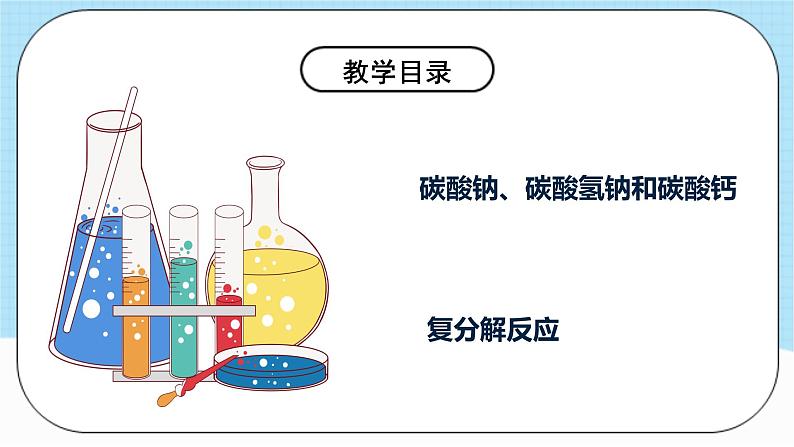 人教版化学九年级下册11.1《生活中常见的盐》第二课时 课件+教案+导学案+分层练习（含答案解析）05