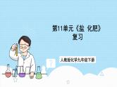 人教版化学九年级下册第11单元《盐 化肥》复习课件+知识清单+单元测试（含答案解析）