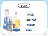 人教版化学九年级下册第11单元《盐 化肥》复习课件+知识清单+单元测试（含答案解析）