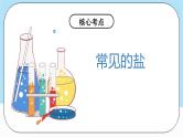 人教版化学九年级下册第11单元《盐 化肥》复习课件+知识清单+单元测试（含答案解析）