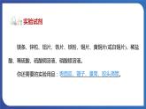 第八单元 金属和金属材料 实验活动四  金属的物理性质和某些化学性质 课件---2023-2024学年九年级化学人教版下册