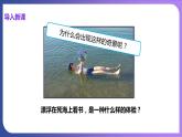 9.3 溶液的浓度 第1课时 溶质的质量分数 课件---2023-2024学年九年级化学人教版下册