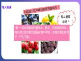 10.1 常见的酸和碱 第1课时 酸碱指示剂  几种常见的酸 课件---2023-2024学年九年级化学人教版下册