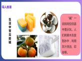 10.1 常见的酸和碱 第1课时 酸碱指示剂  几种常见的酸 课件---2023-2024学年九年级化学人教版下册