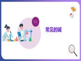 10.1 常见的酸和碱 第3课时  常见的碱  碱的化学性质 课件---2023-2024学年九年级化学人教版下册