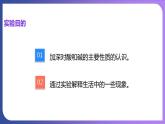 第十单元 酸和碱 实验活动六  酸、碱的化学性质 课件---2023-2024学年九年级化学人教版下册