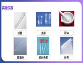 第十单元 酸和碱  实验活动七  溶液酸碱性的检验 课件---2023-2024学年九年级化学人教版下册