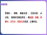 第十单元 酸和碱  实验活动七  溶液酸碱性的检验 课件---2023-2024学年九年级化学人教版下册