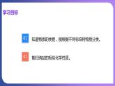 11.1 生活中常见的盐 第3课时  盐的化学性质 课件---2023-2024学年九年级化学人教版下册
