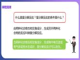 11.1 生活中常见的盐 第3课时  盐的化学性质 课件---2023-2024学年九年级化学人教版下册
