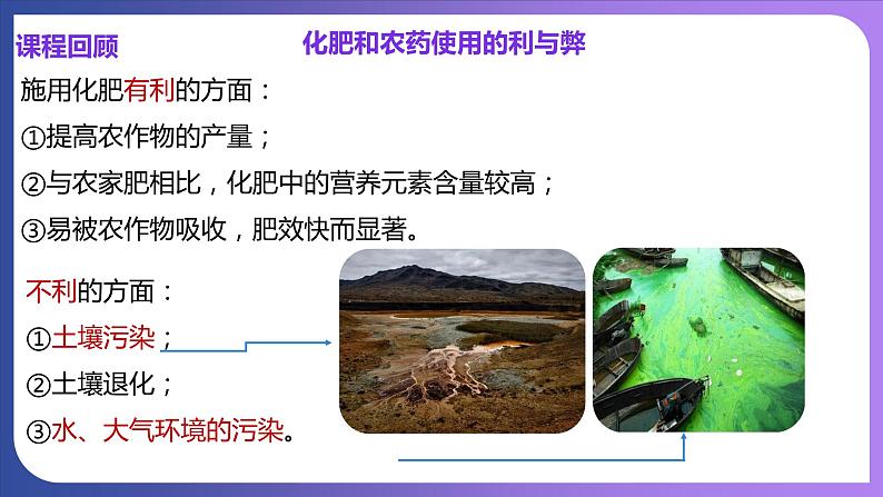 12.1 人类重要的营养物质 课件---2023-2024学年九年级化学人教版下册第3页