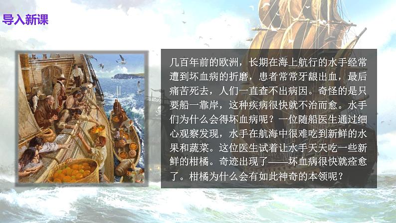 12.1 人类重要的营养物质 课件---2023-2024学年九年级化学人教版下册第4页