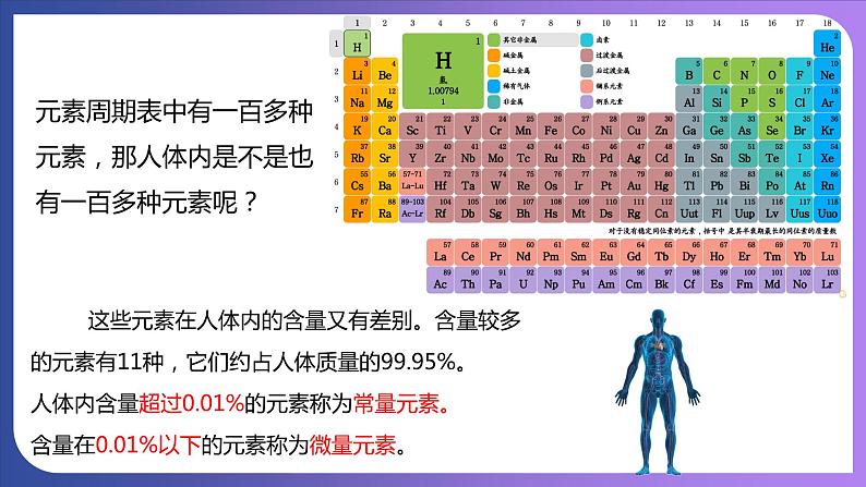 12.2 化学元素与人体健康 课件---2023-2024学年九年级化学人教版下册05