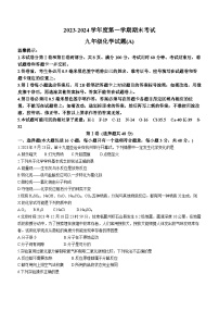 山东省滨州市滨城区2023-2024学年九年级上学期期末化学试题