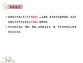 8.5 化學(xué)肥料 課件科粵版化學(xué)九年級下冊