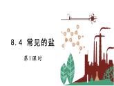 8.4 常见的盐 第1课时 课件 2023-2024学年科粤版化学九年级下册