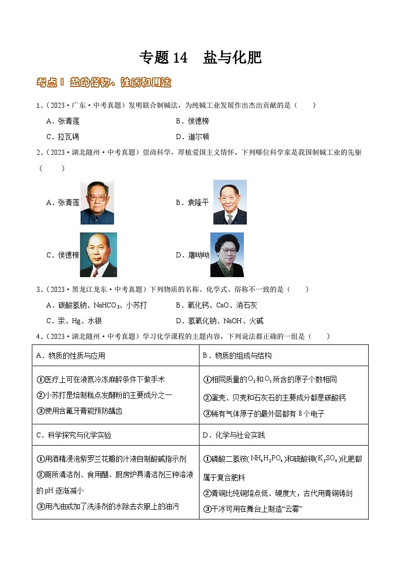 2024年中考化学真题分项汇编（全国通用）专题14 盐与化肥（第02期）（原卷版+解析）01