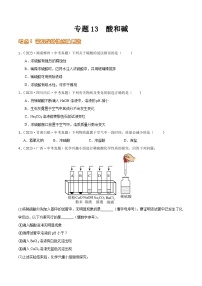 2024年中考化学真题分项汇编（全国通用）专题13 酸和碱（第02期）（原卷版+解析）