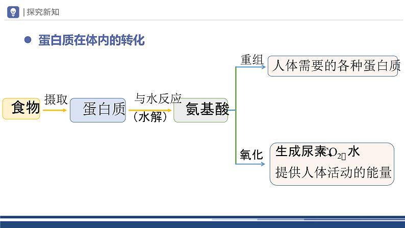 【基于核心素养的教学】课题1 《人类重要的营养物质》课件PPT+教学设计+分层作业07