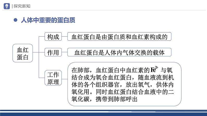 【基于核心素养的教学】课题1 《人类重要的营养物质》课件PPT+教学设计+分层作业08