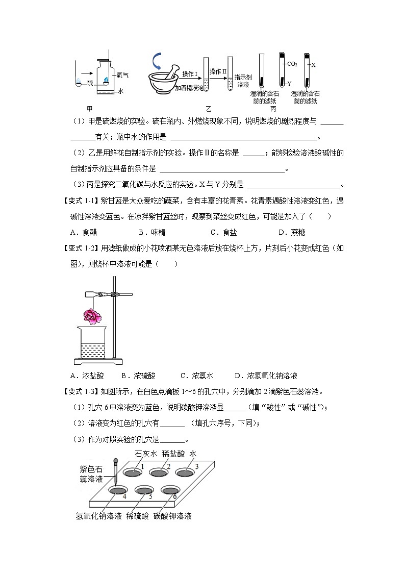 人教版九年级化学下册同步考点解读训练   10.1 常见的酸和碱（第1课时）（原卷版+解析）02