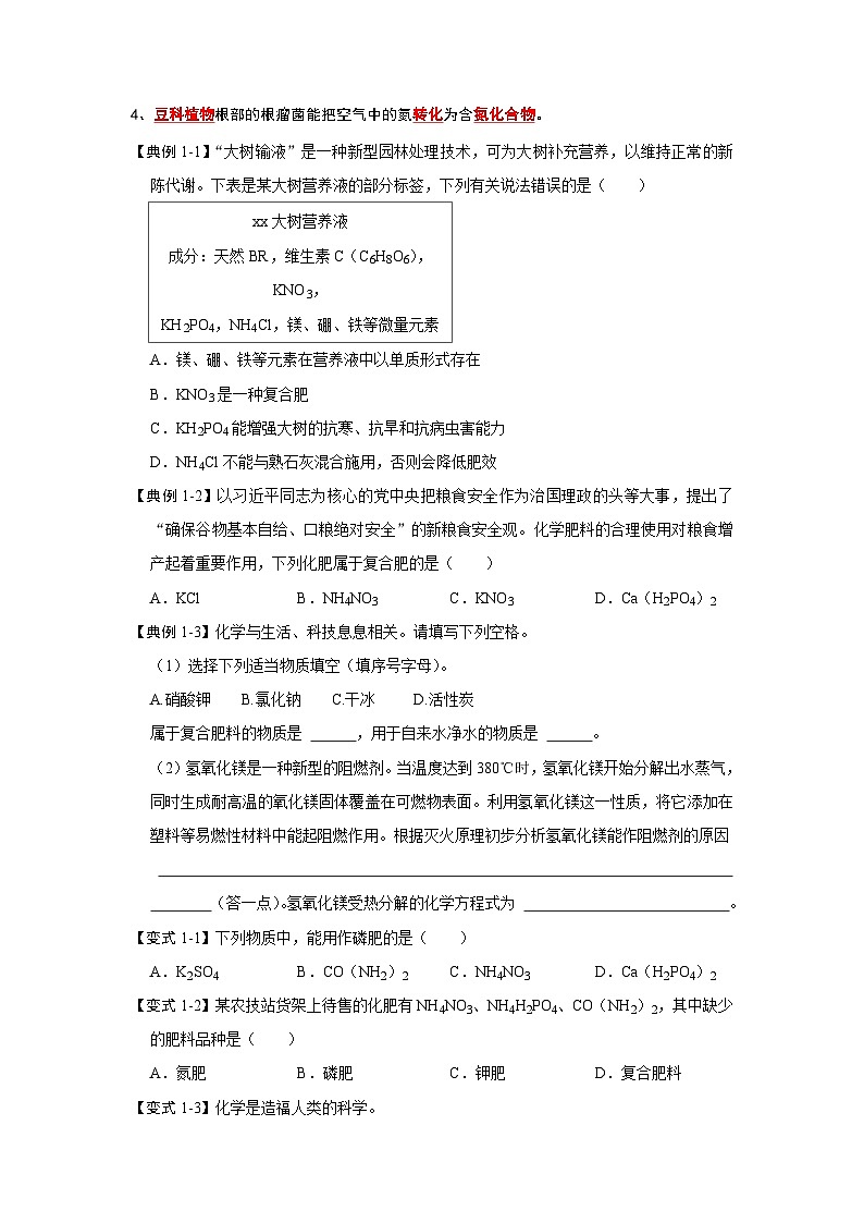 人教版九年级化学下册同步考点解读训练   11.2 化学肥料（原卷版+解析）第2页
