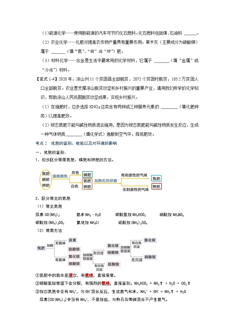 人教版九年级化学下册同步考点解读训练   11.2 化学肥料（原卷版+解析）第3页