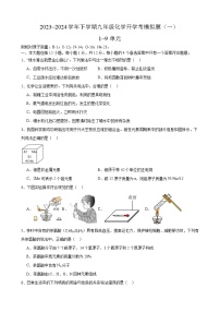 安徽省合肥市众望初级中学2023_2024学年下学期九年级化学开学考模拟题（一）