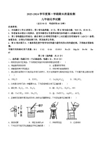 山东省济宁市高新区2023-2024学年九年级上学期期末考试化学试卷(无答案)