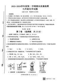 山东省济宁市高新区2023-2024学年九年级上学期期末考试化学试卷