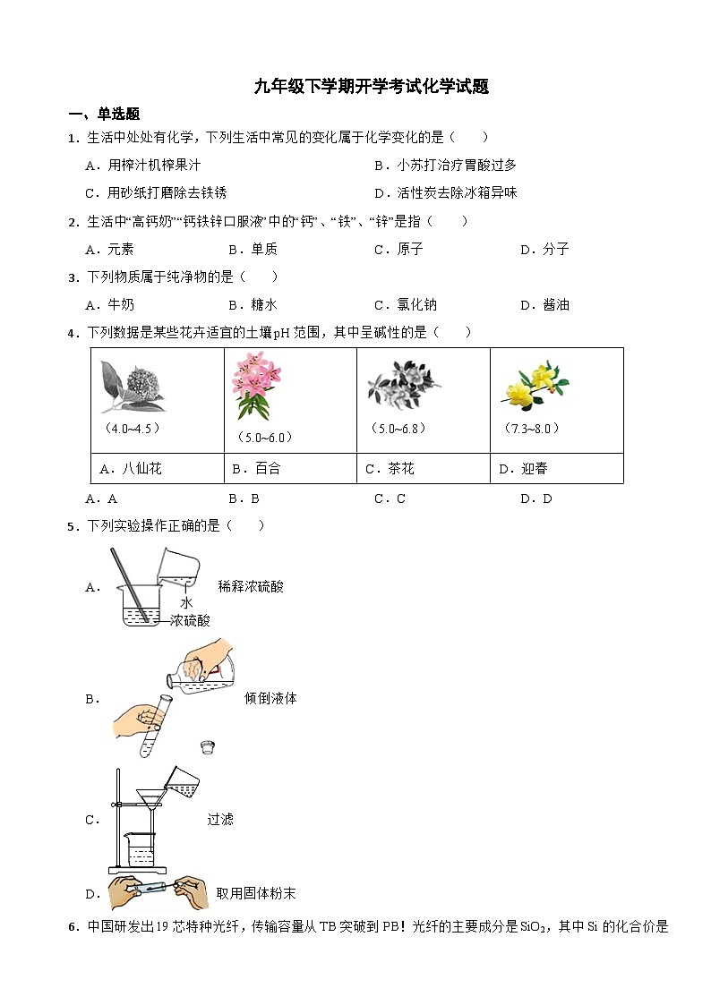 山东省青岛市2024年九年级下学期开学考试化学试题附参考答案第1页