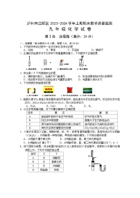 四川省泸州市江阳区2023-2024学年九年级上学期期末考试化学试题