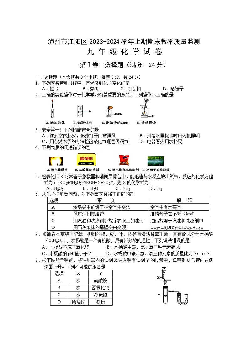 四川省泸州市江阳区2023-2024学年九年级上学期期末考试化学试题第1页