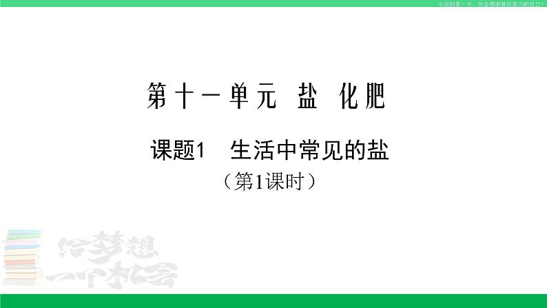 人教版九年级化学下册同步优质课件 第十一单元  课题1  生活中常见的盐（1）01