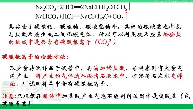 人教版九年级化学下册同步优质课件 第十一单元  课题1  生活中常见的盐（2）06