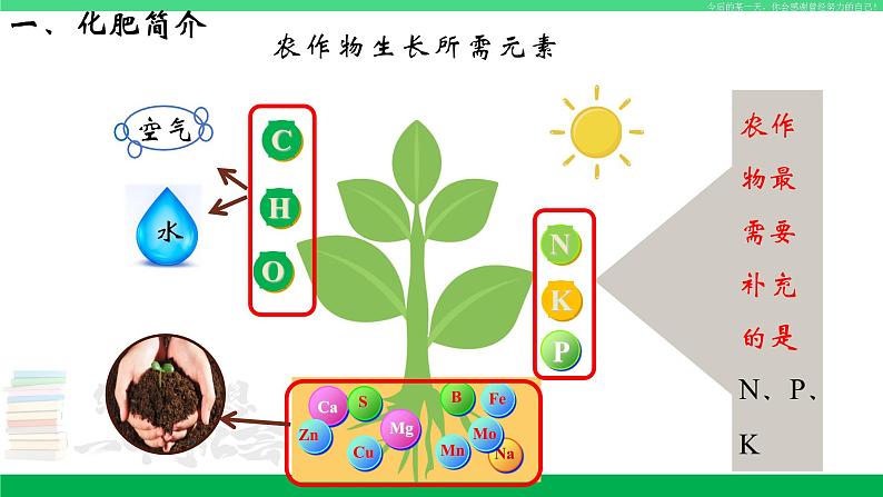 人教版九年级化学下册同步优质课件 第十一单元 课题2 化学肥料（第一课时）第4页