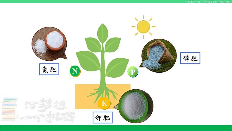 人教版九年级化学下册同步优质课件 第十一单元 课题2 化学肥料（第一课时）第5页