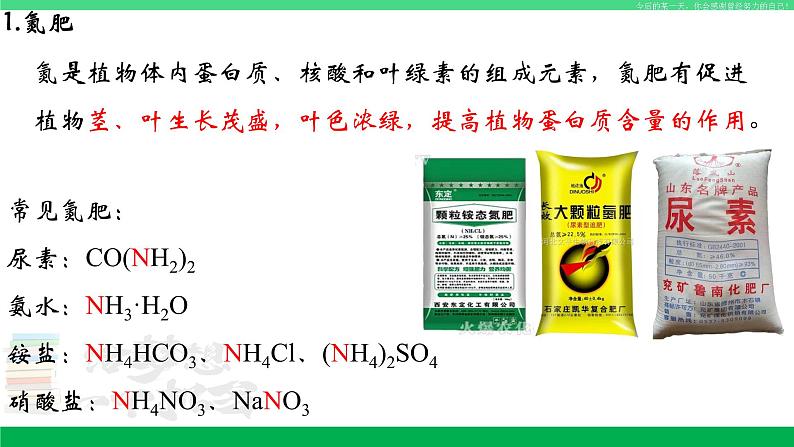 人教版九年级化学下册同步优质课件 第十一单元 课题2 化学肥料（第一课时）第6页