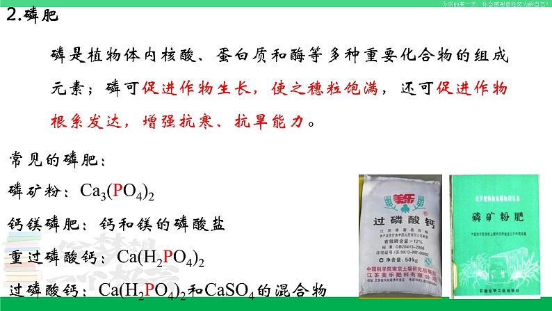 人教版九年级化学下册同步优质课件 第十一单元 课题2 化学肥料（第一课时）第8页