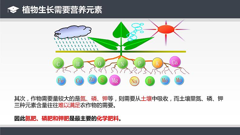 人教版九年级化学下册同步课件  11.2 化学肥料（课件）第6页