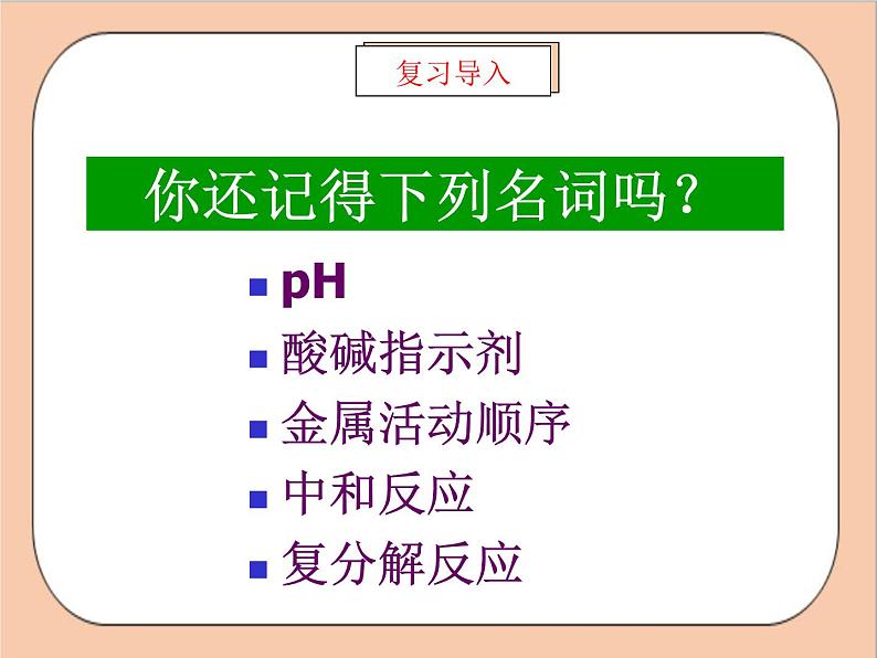 人教版化学九年级下册 实验活动 6《 酸和碱的化学性质》课件02