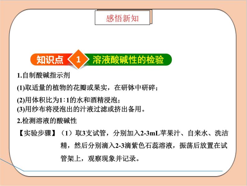 人教版化学九年级下册 实验活动7《溶液酸碱性的检验》课件04