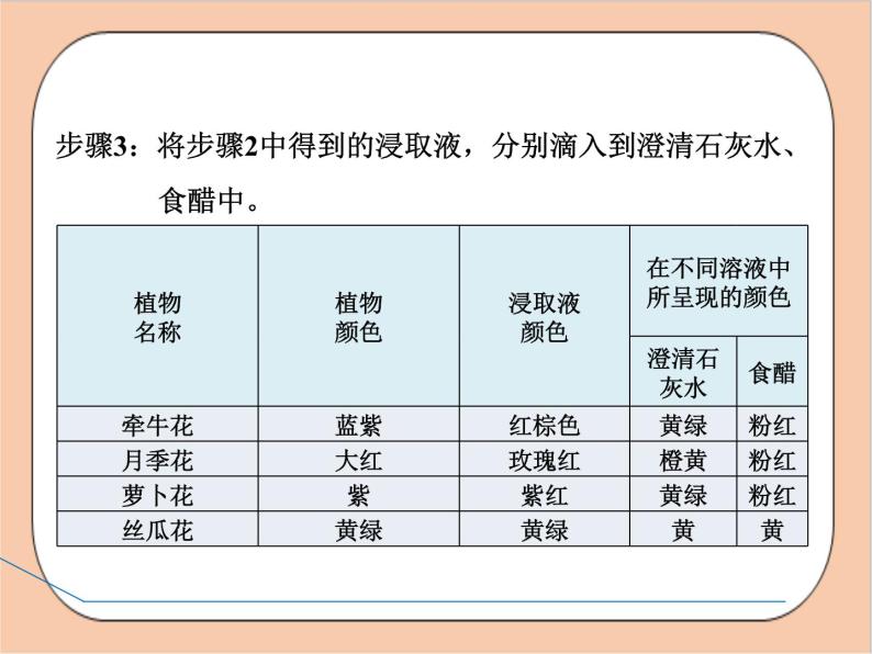 人教版化学九年级下册 实验活动7《溶液酸碱性的检验》课件07