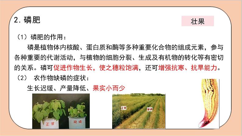 人教版化学九年级下册 11.2 《化学肥料》课件07