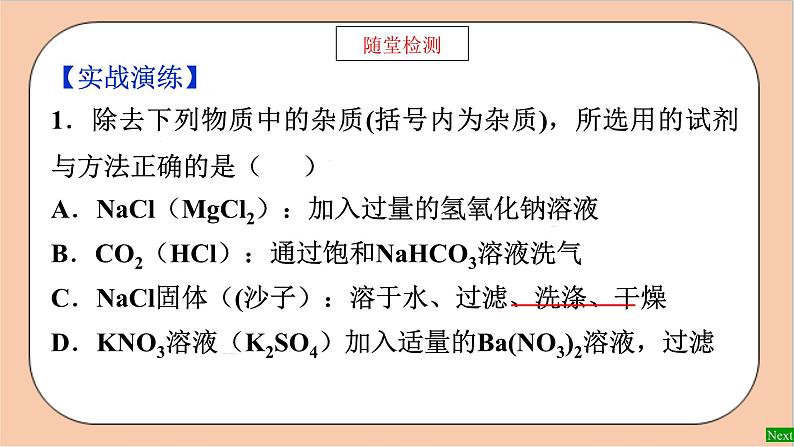 人教版化学九年级下册 第十一单元 实验活动八 《粗盐中难溶性杂质的去除》训练课件03