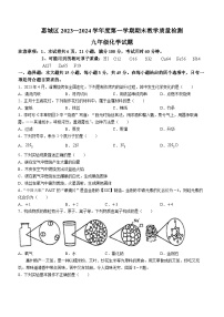 广东省惠州市第三中学2023-2024学年九年级上学期期末化学试卷(无答案)