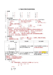 38， 河北省保定市高阳县2023-2024学年九年级上学期期末考试化学试题