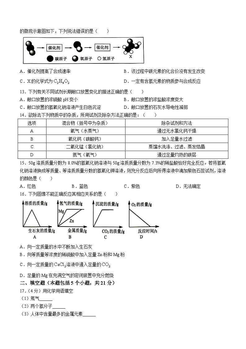 重庆市合川区合阳中学2023-2024学年九年级下学期开学考试化学试题()03