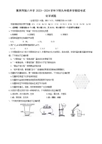 重庆市第八中学2023—2024学年九年级下学期开学模拟考试化学试题