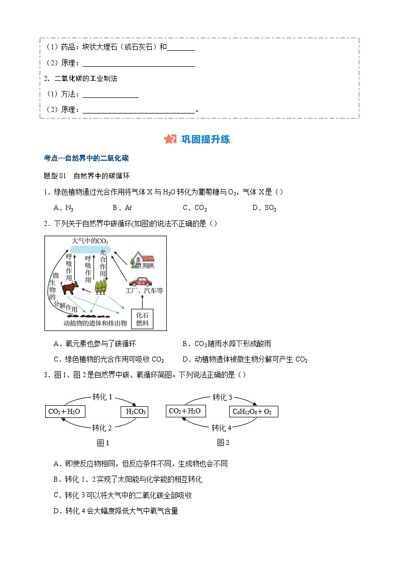 专题03 二氧化碳-九年级化学寒假培优专项训练（沪教版）02